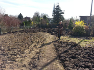 Nach 20 m³ kann man ja mal endlich mit der Arbeit anfangen. Einfach noch mal ein bisschen umgraben.