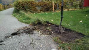 Der arme Rasen... aber die Hecke will ihren Platz (Bild: O.Thiele)